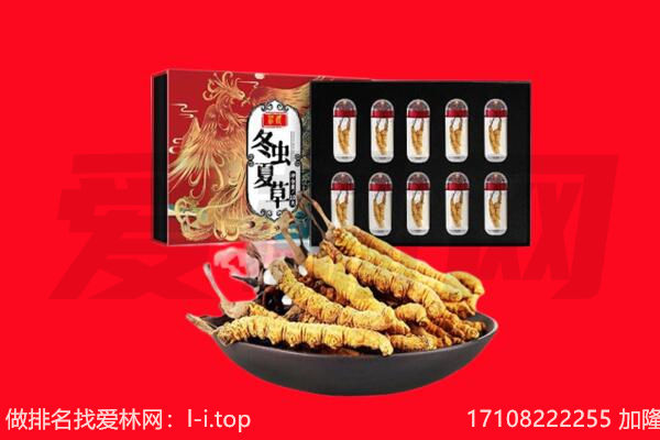 利川市回收虫草.jpg
